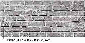 TD06-101